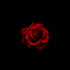 Red Rose II - Floral Art Prints